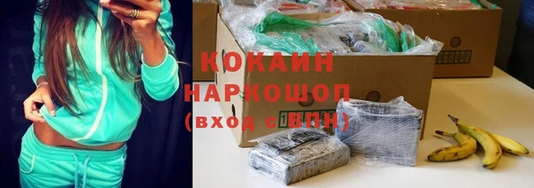 дурь Гусев