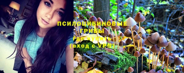 мдма Богородск