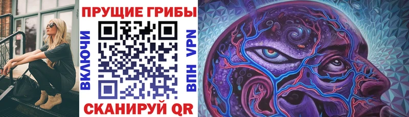 Галлюциногенные грибы Psilocybine cubensis  Ворсма 